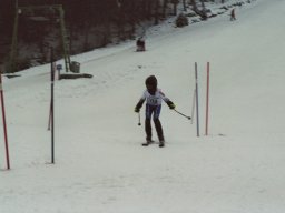 Hesselbach 2006